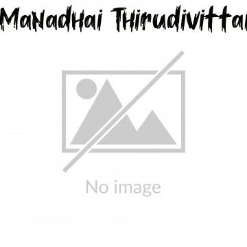 Manadhai Thirudivittai (2001)