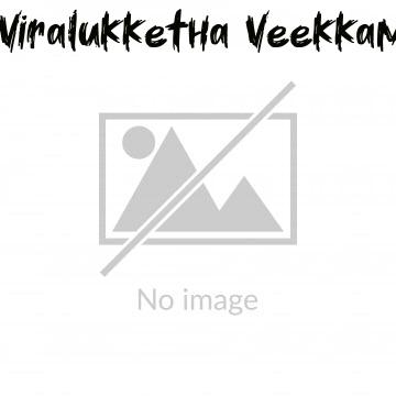 Viralukketha Veekkam (1999)