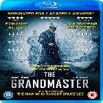 The Grandmaster (2013)